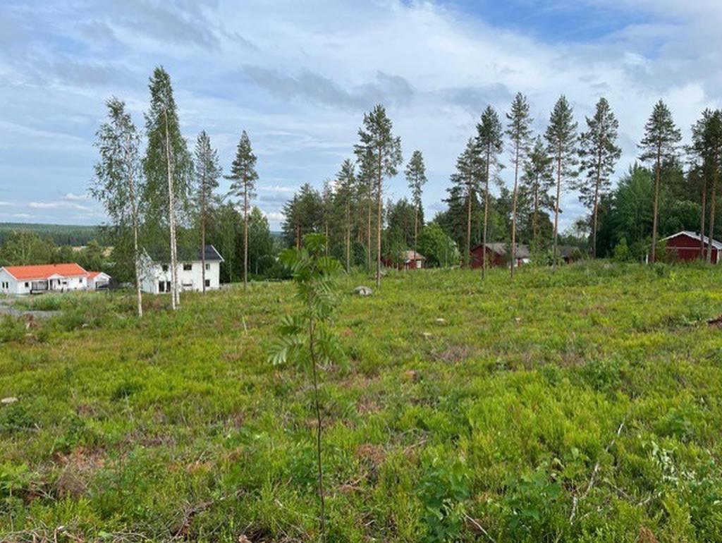 Utsikt från tomt 1:81
Tomtarea 2141 kvm