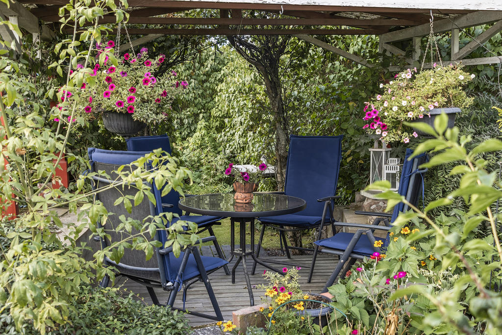 Grönskande plats i trädgården