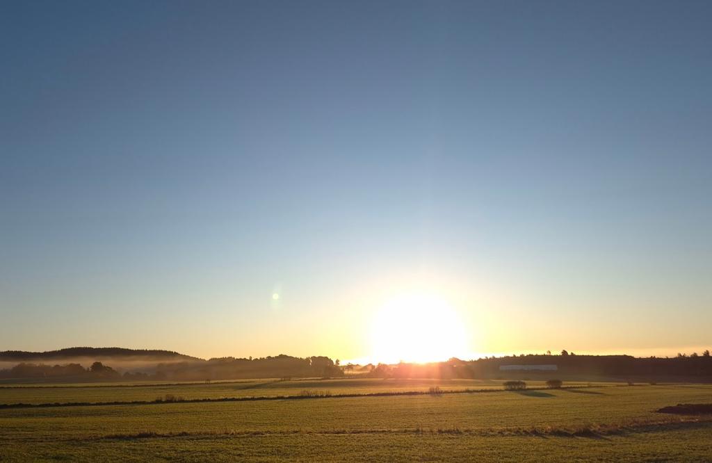 Miljöbild från omgivningarna