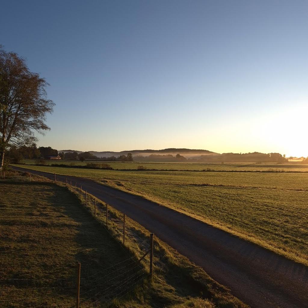 Miljöbild. Vägen fram till tomten.