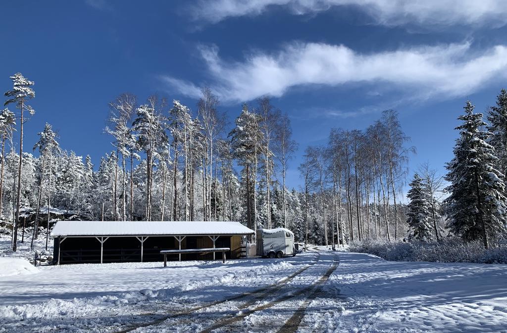 Säljarens egna bilder.