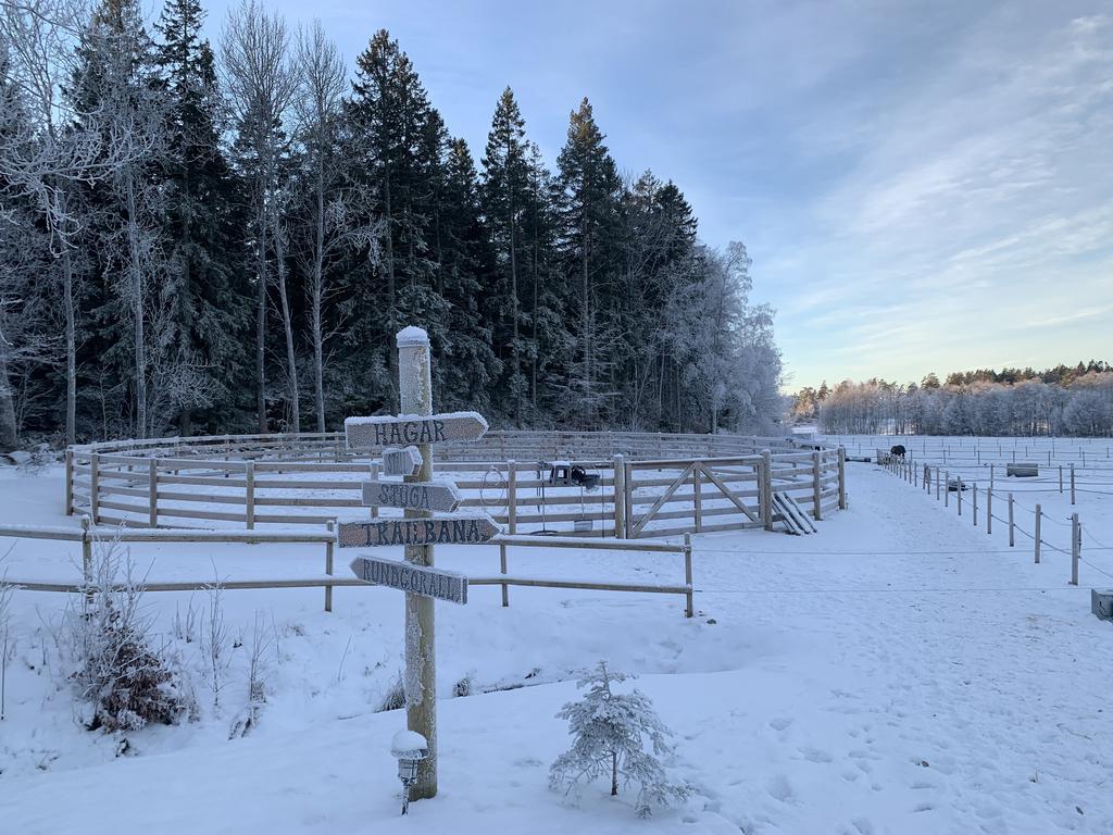 Säljarens egna bilder.