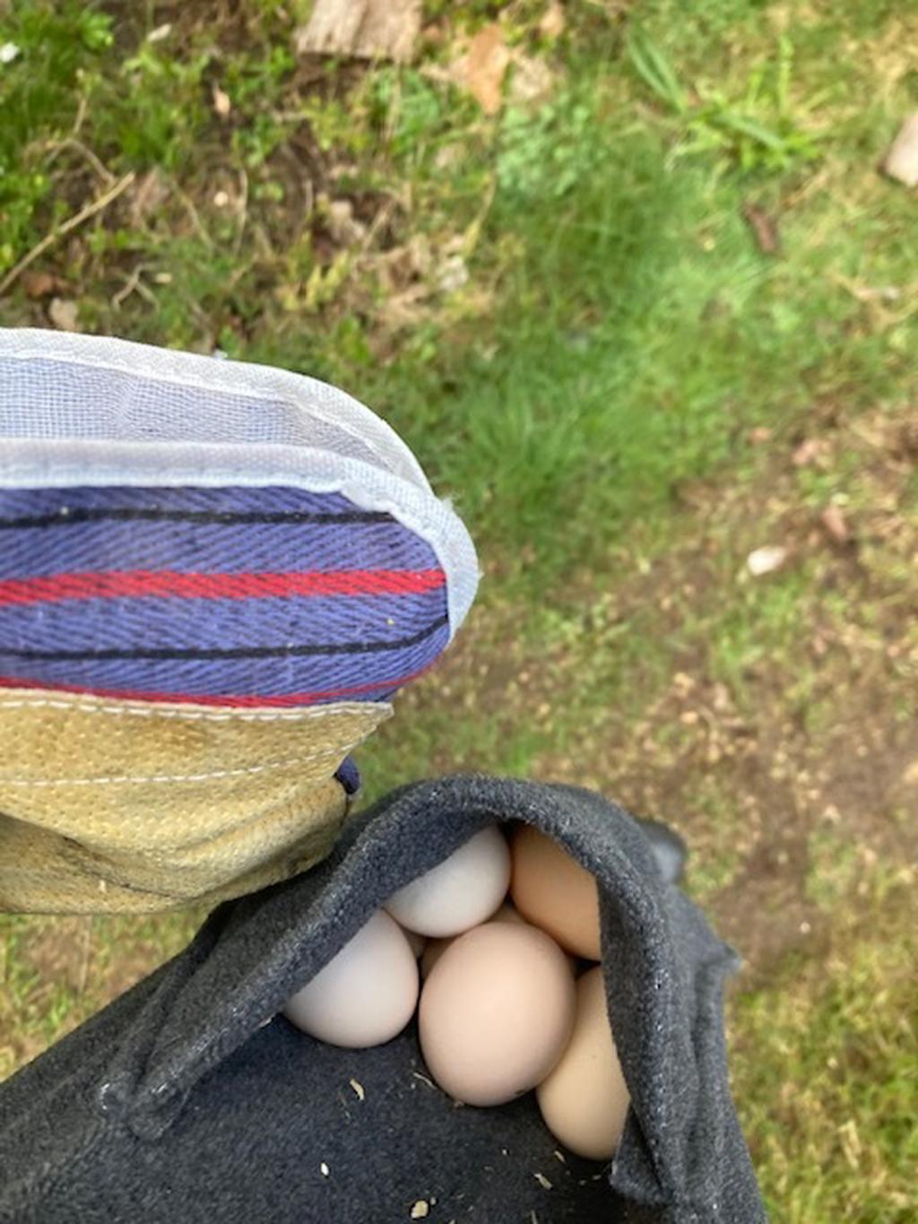 "Nyplockade ägg i morgonrocksfickan"