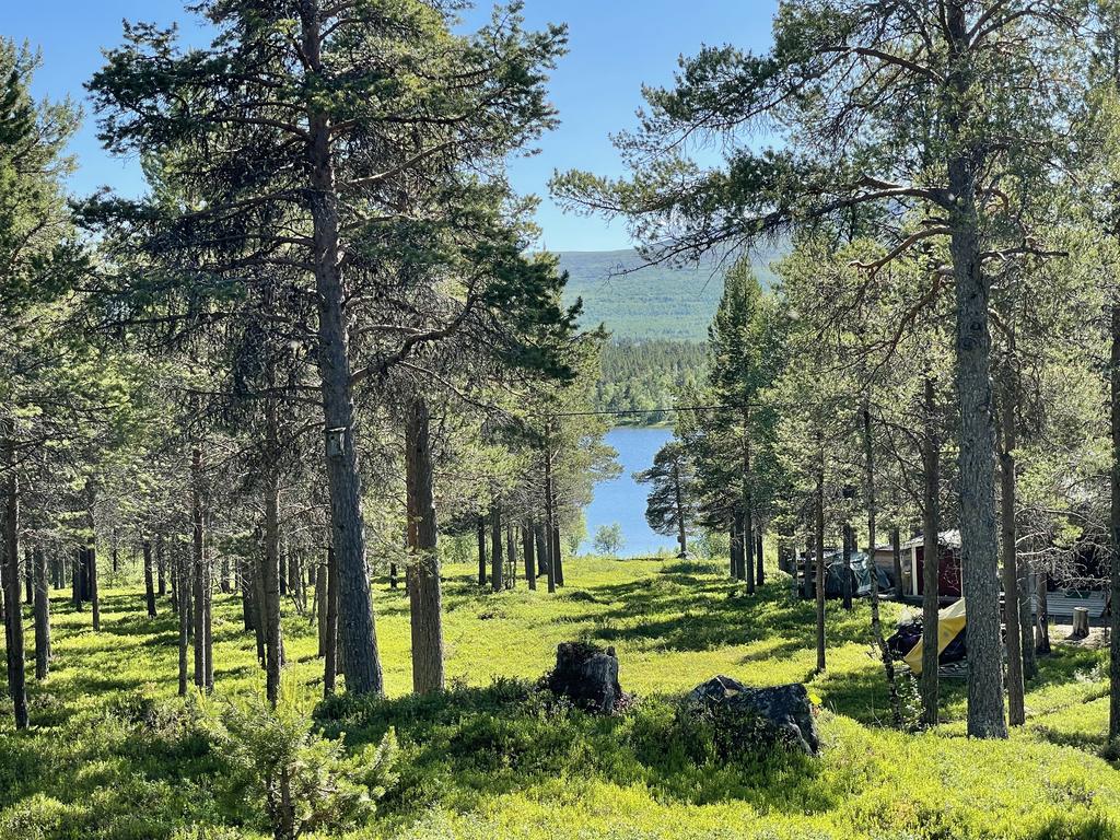 Vy från altan ner mot vattnet. 