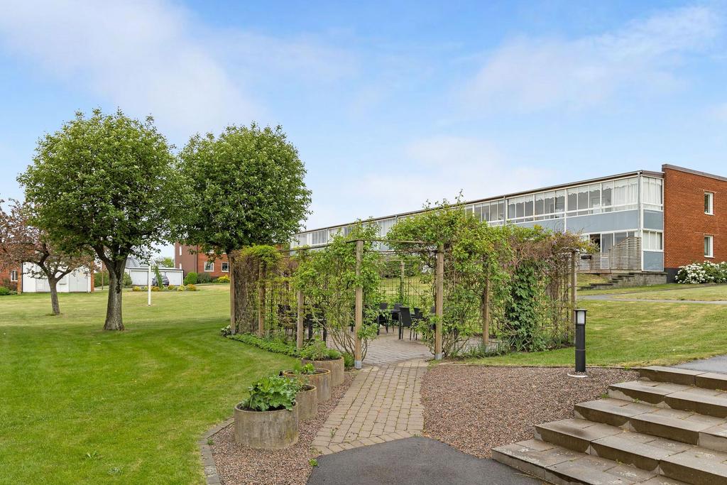 Föreningens gemensamma grillplats