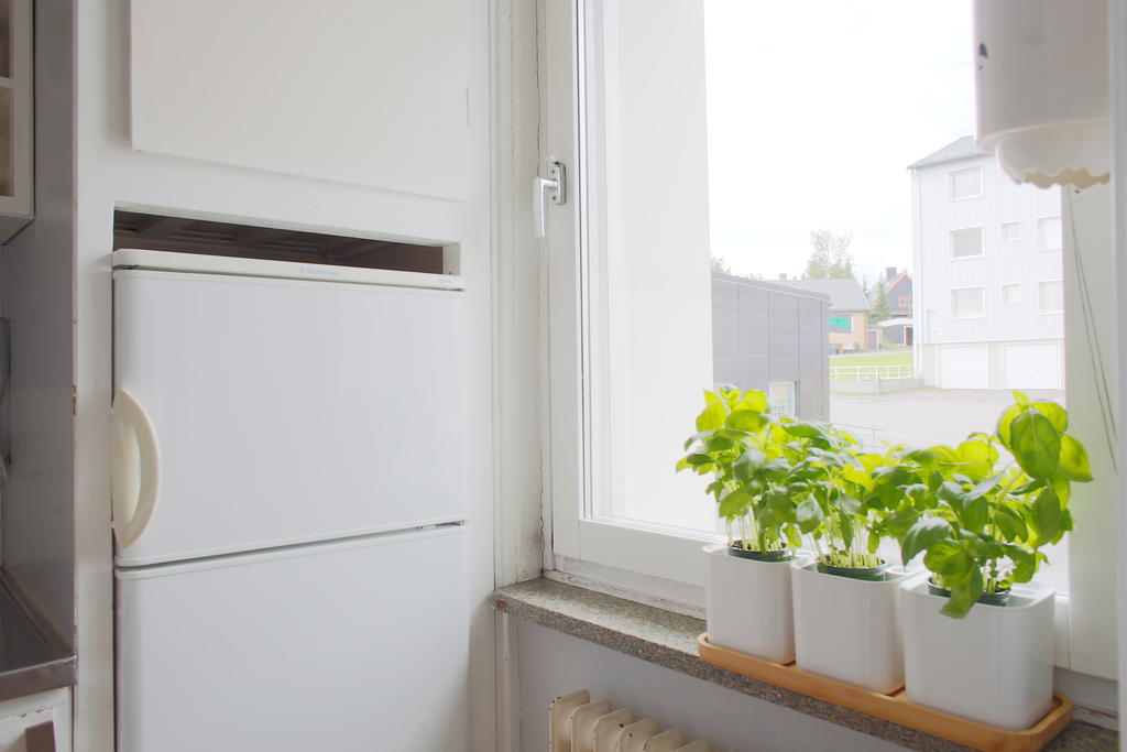 Ett fönster släpper in dagsljus
