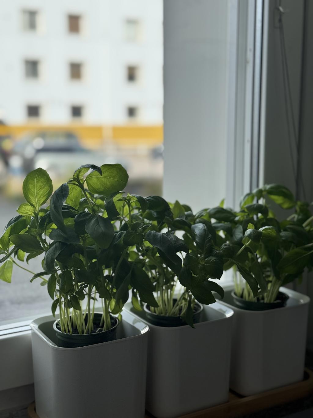 Detaljbild