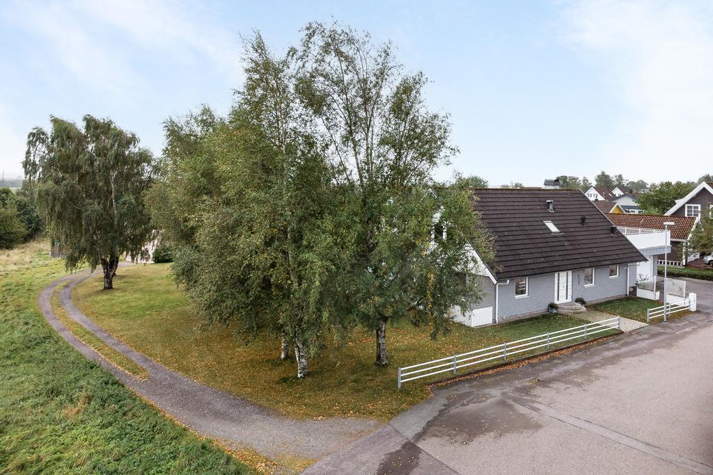 Hörntomt