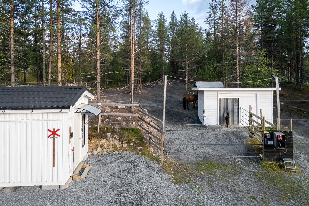 Hästhage med ligghall