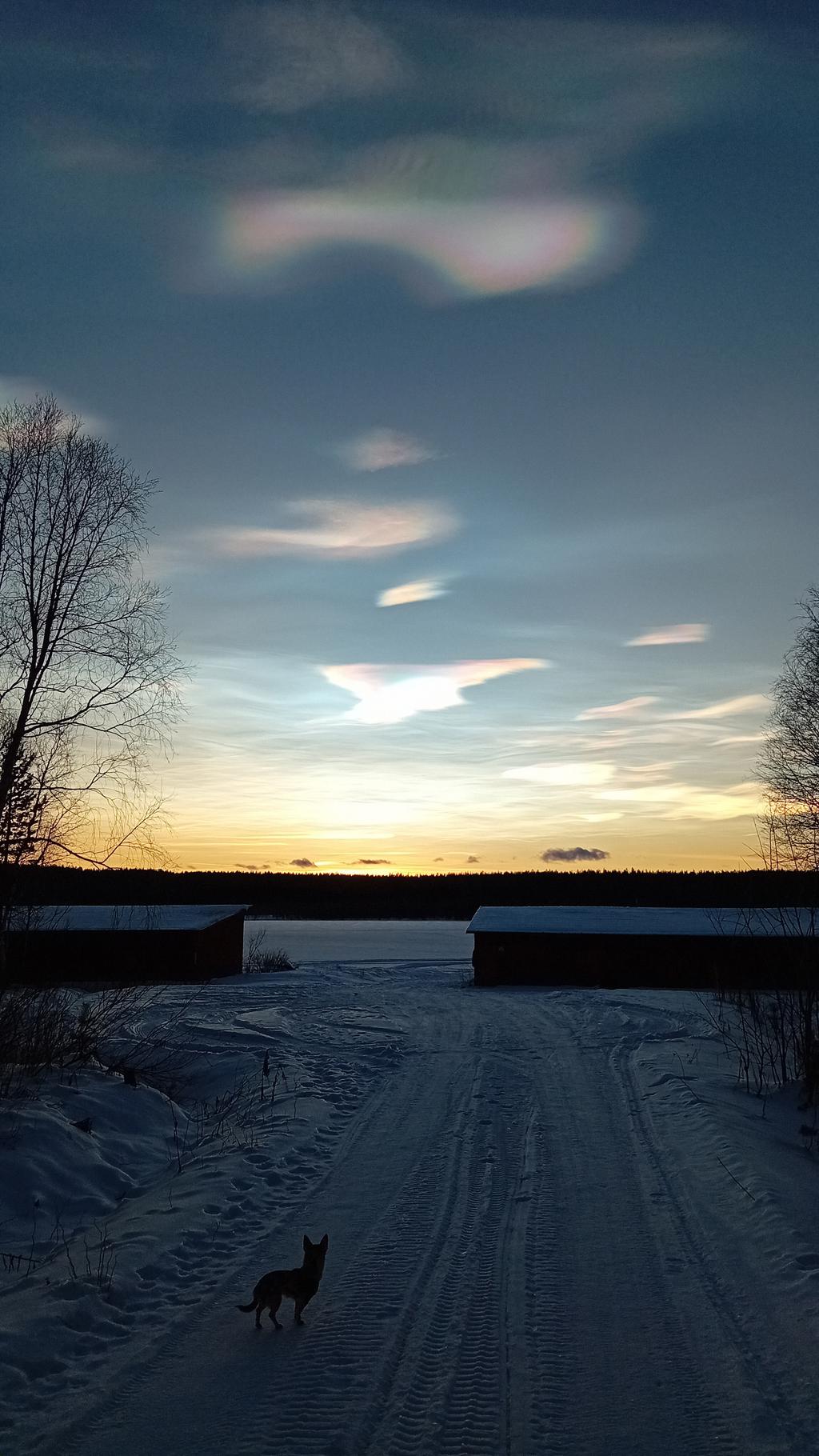 Säljarens egna bild