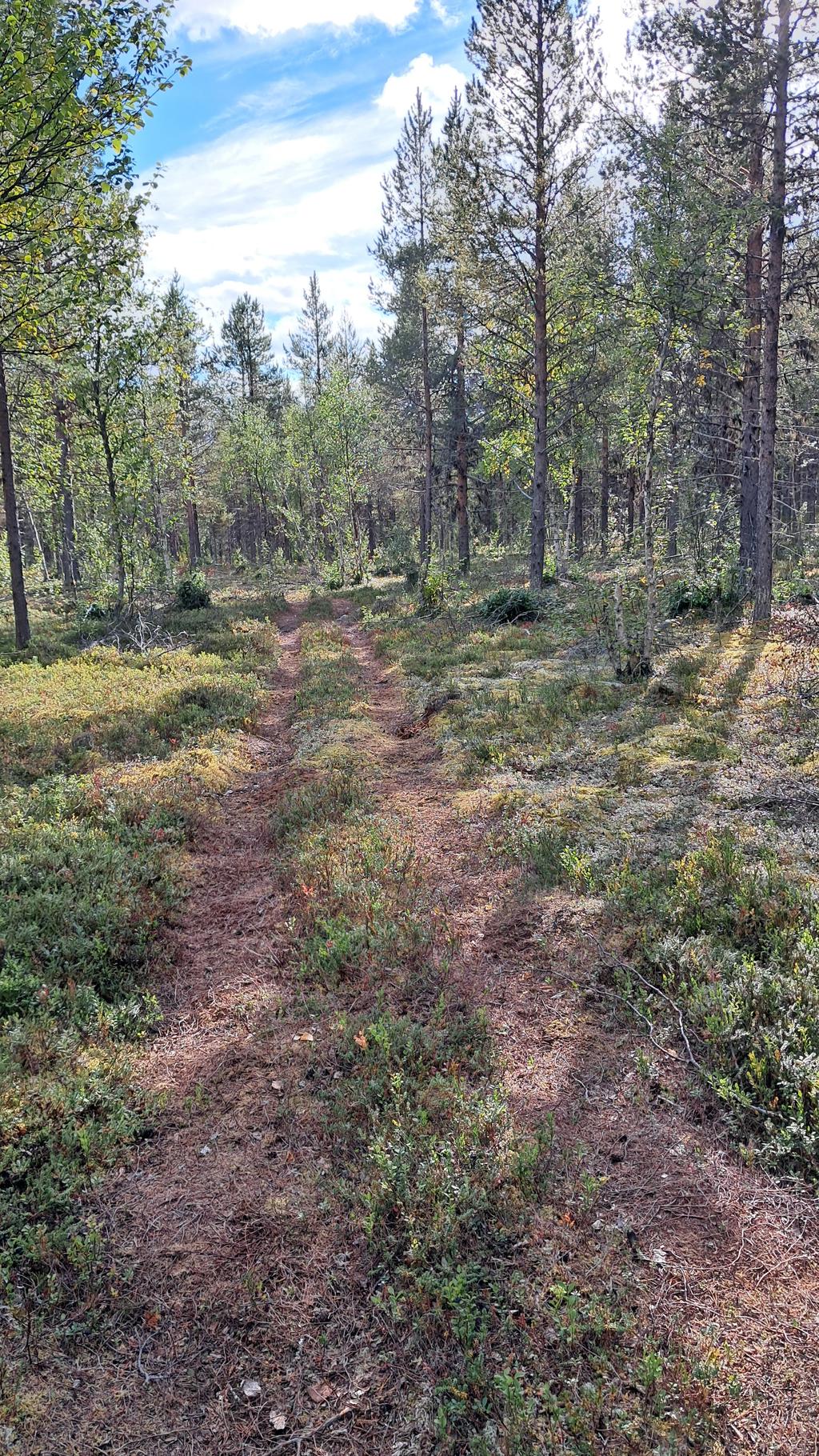 Säljarens egna bild