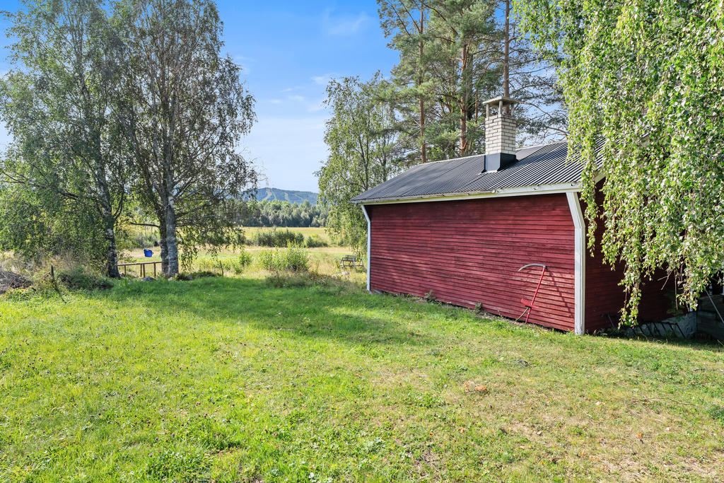 Fria vidder runt om stugan