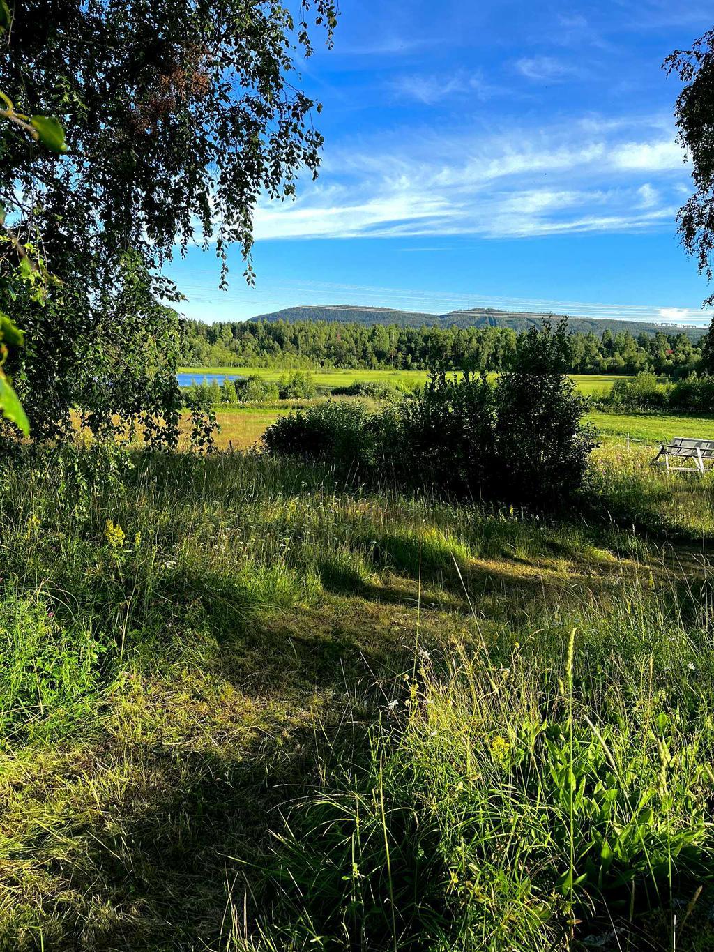Säljarens egna bild på det grönskande området runt om.