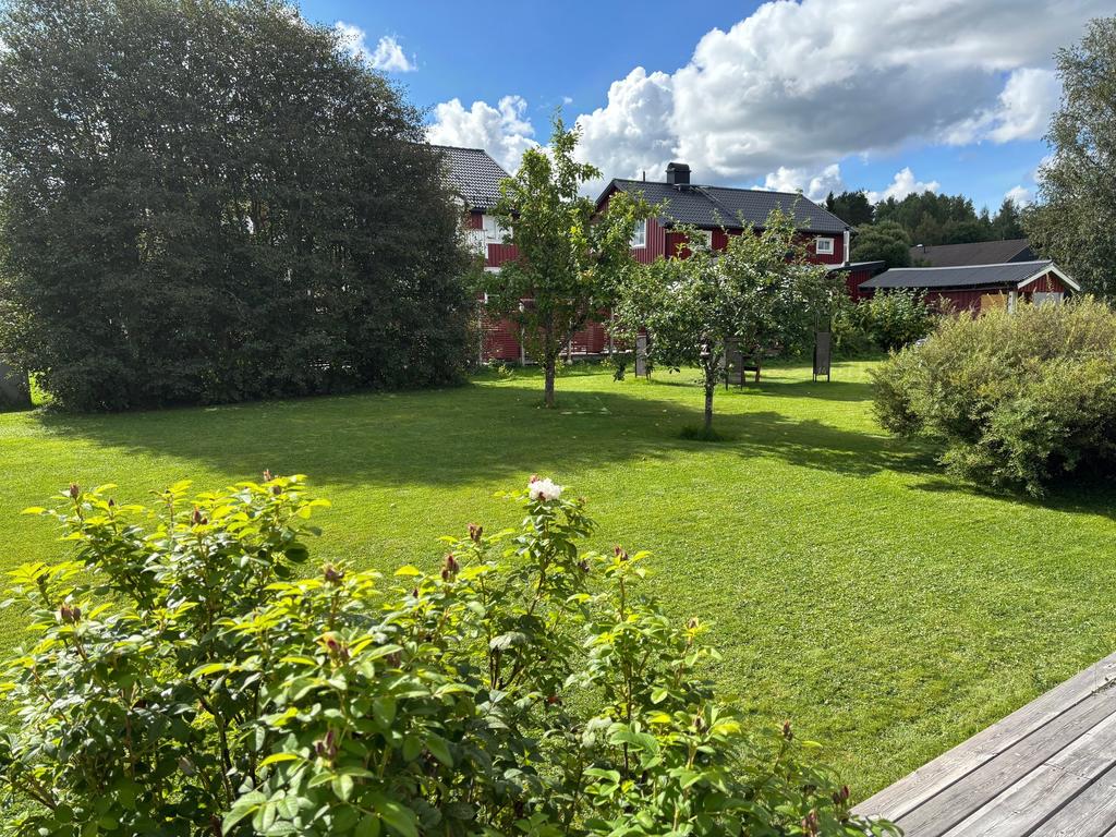 Säljarens bild