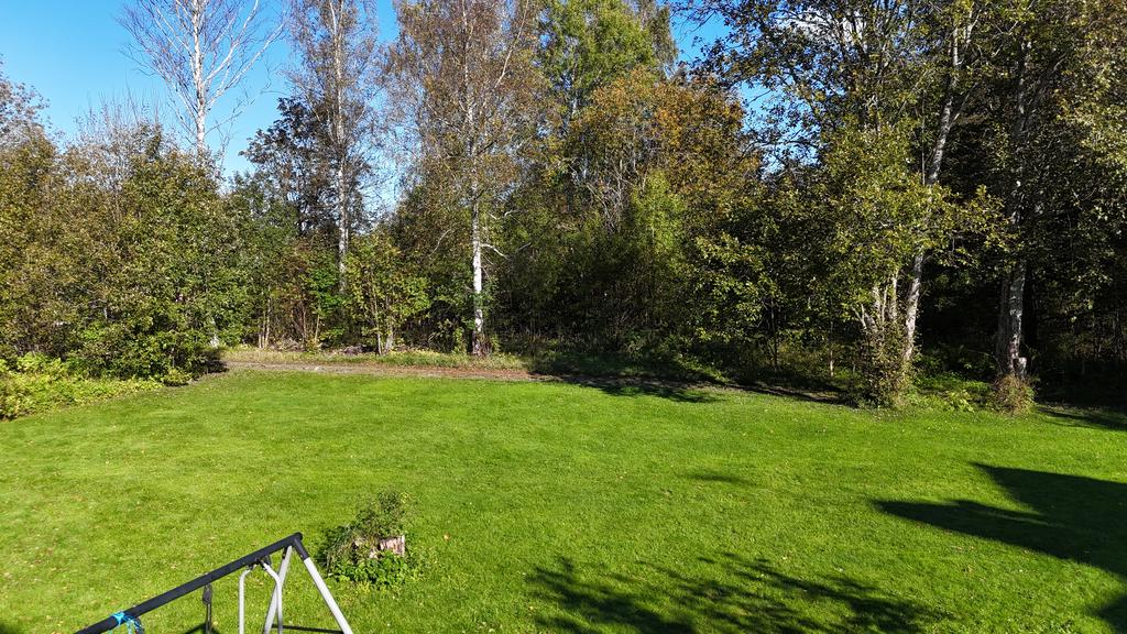 Trädgård