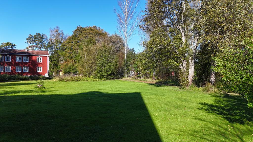 Trädgård