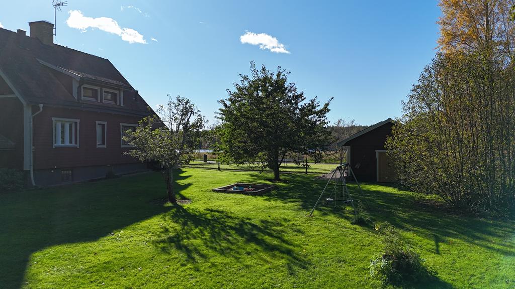 Trädgård