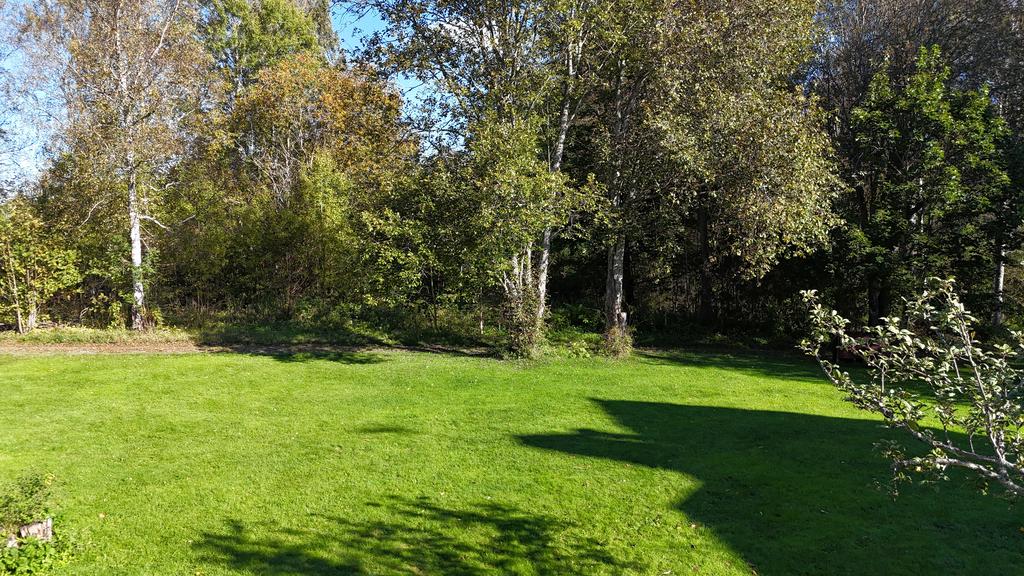 Trädgård