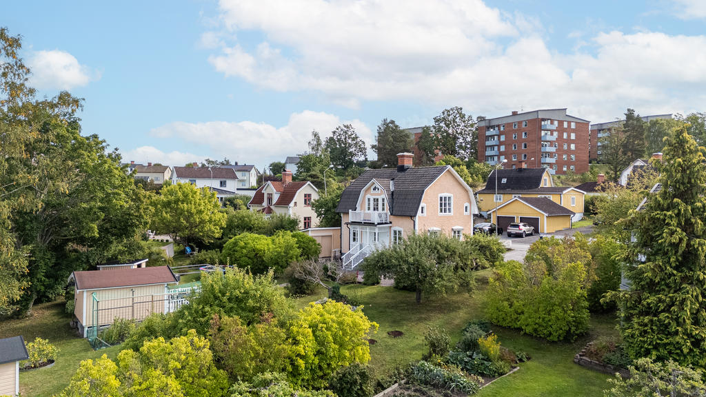 Grönskande trädgård