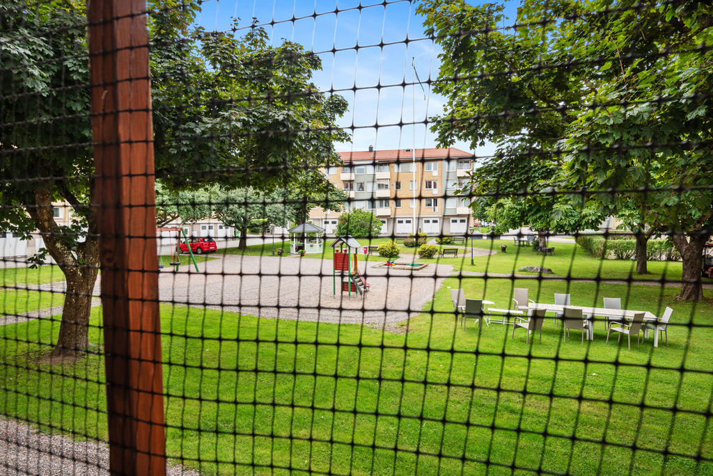 Utsikt mot trädgården. Nätet kommer att försvinna....