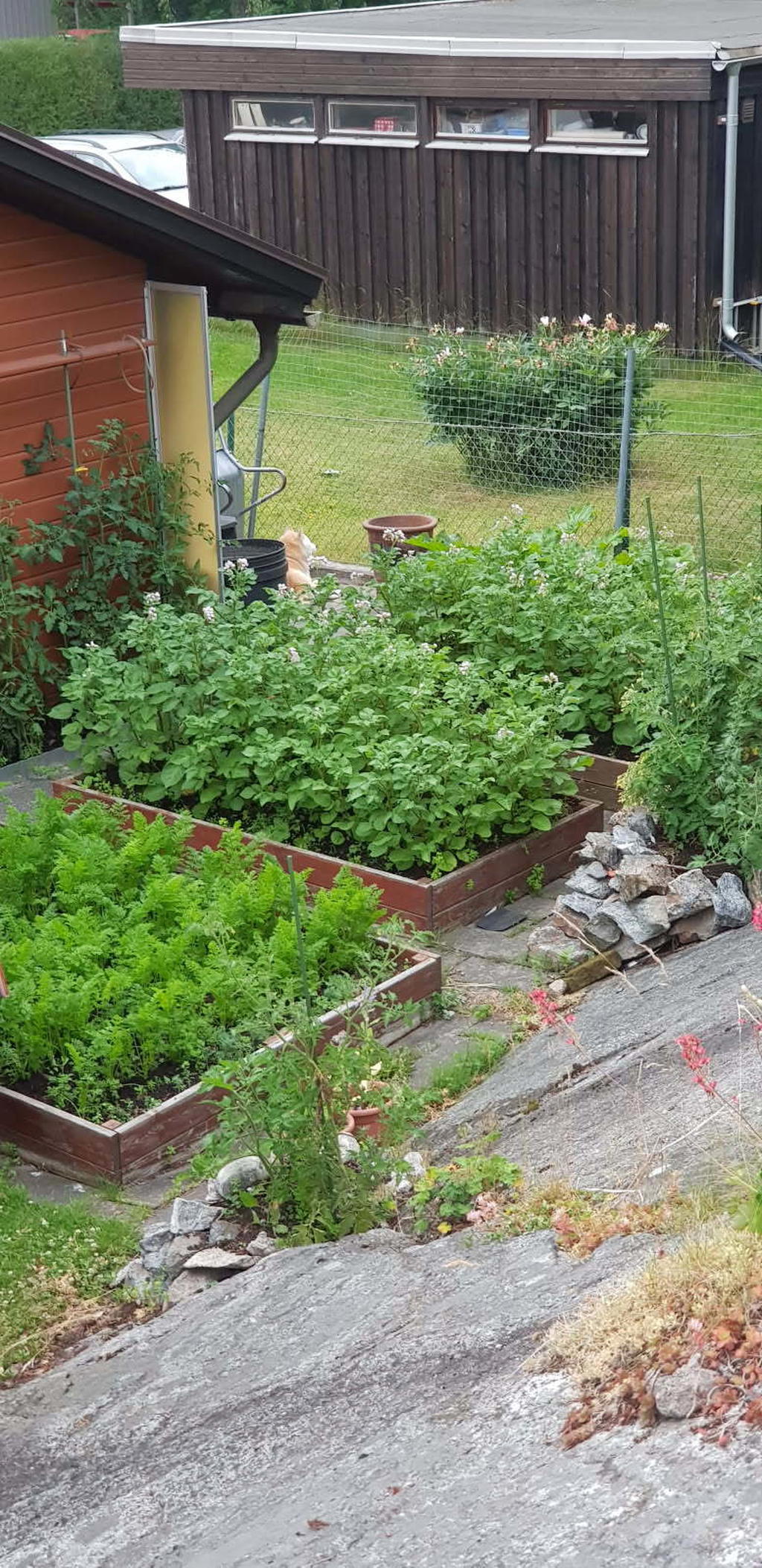 Säljarens egen bild