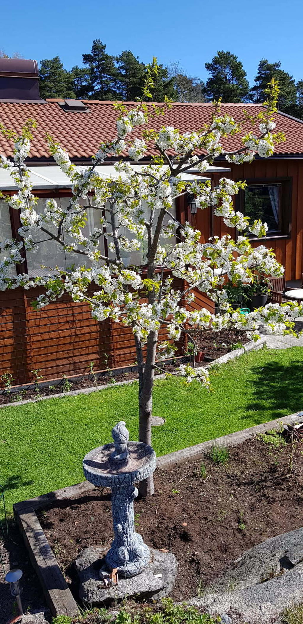 Säljarens egen bild