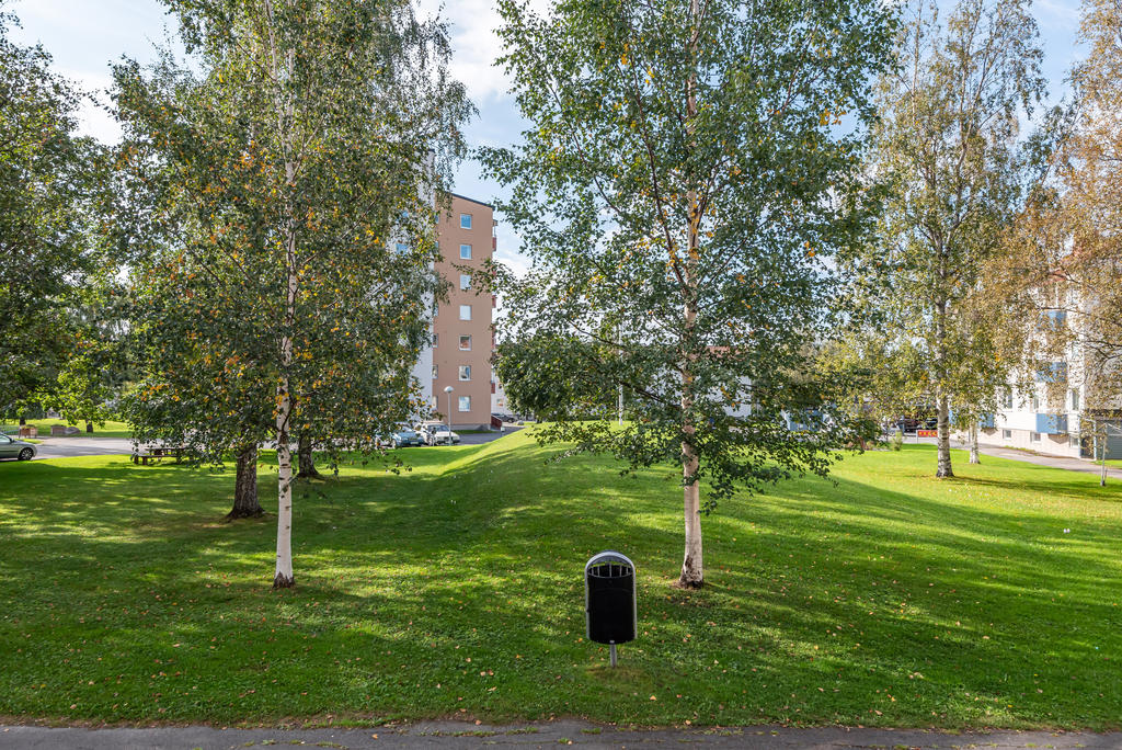 Stor härlig gräsyta utanför lägenheten 