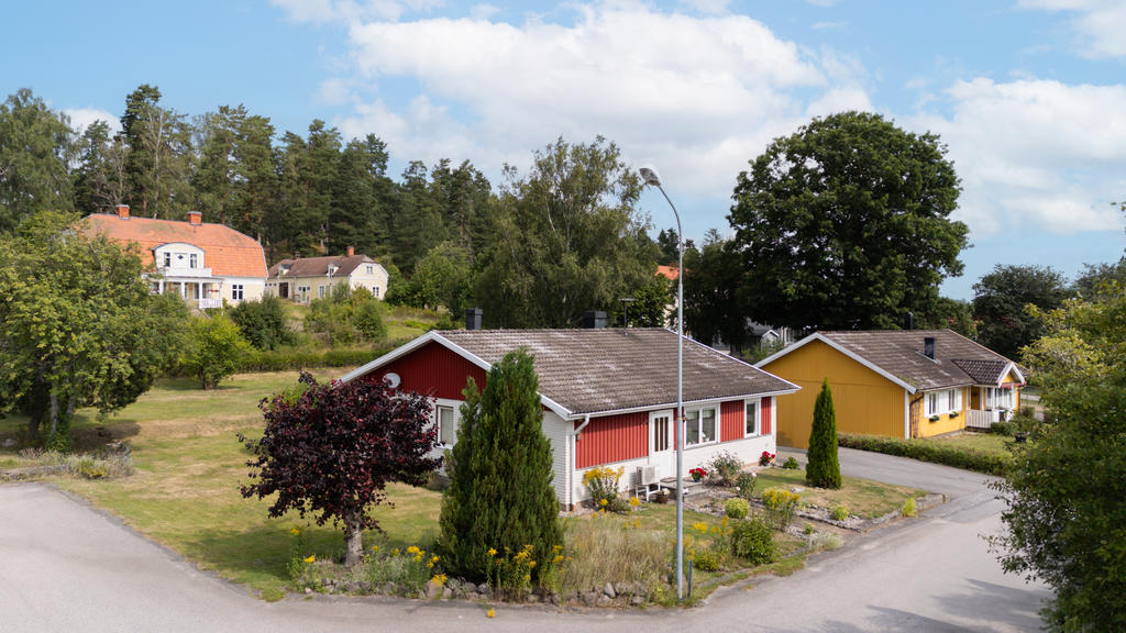 Plan trädgårdstomt