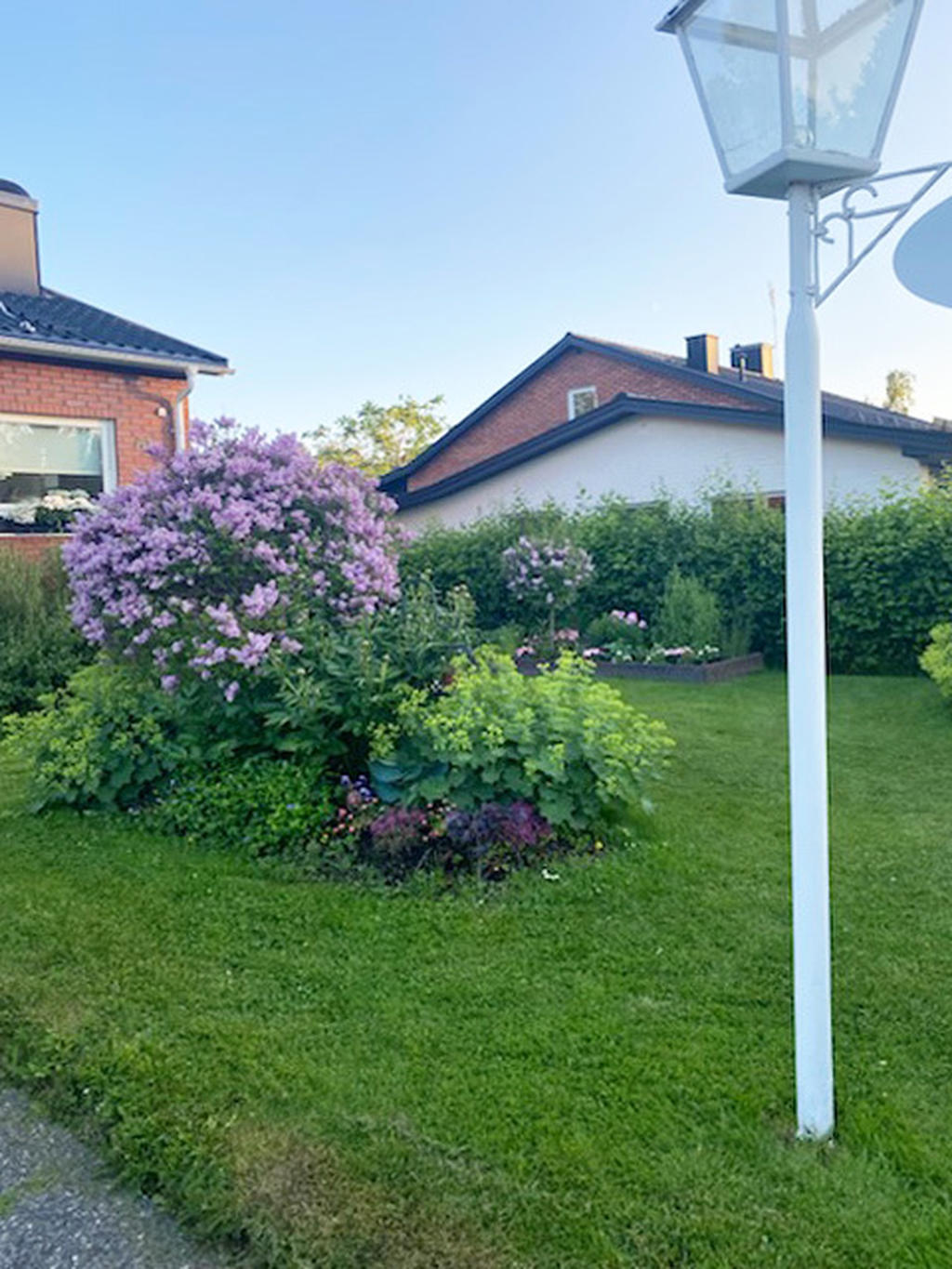 Säljarens bild