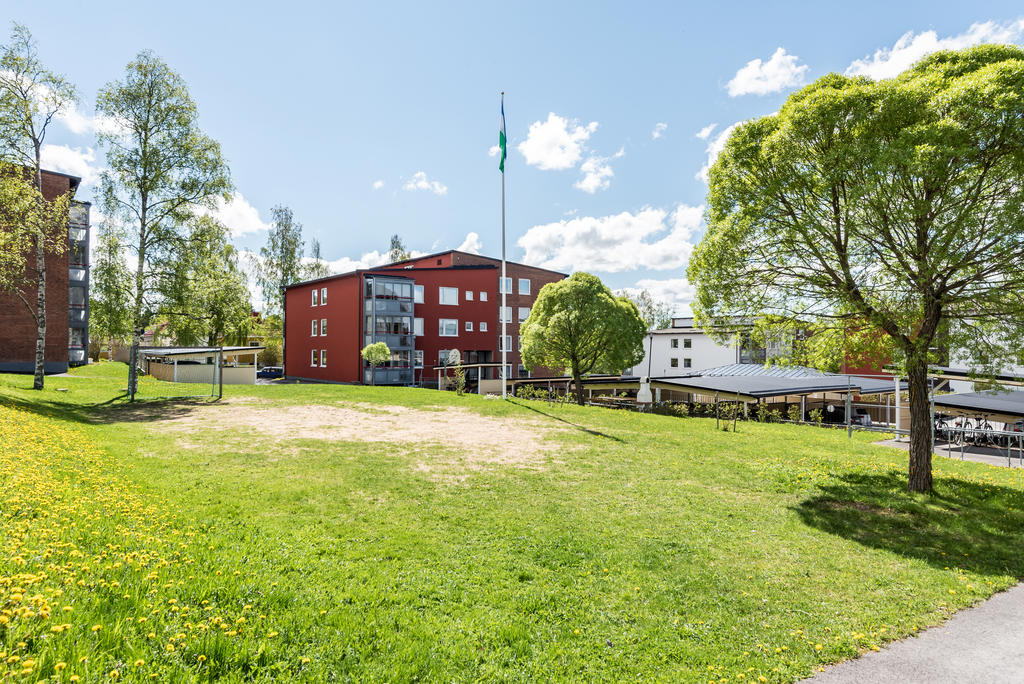 Stor och härlig gräsyta 