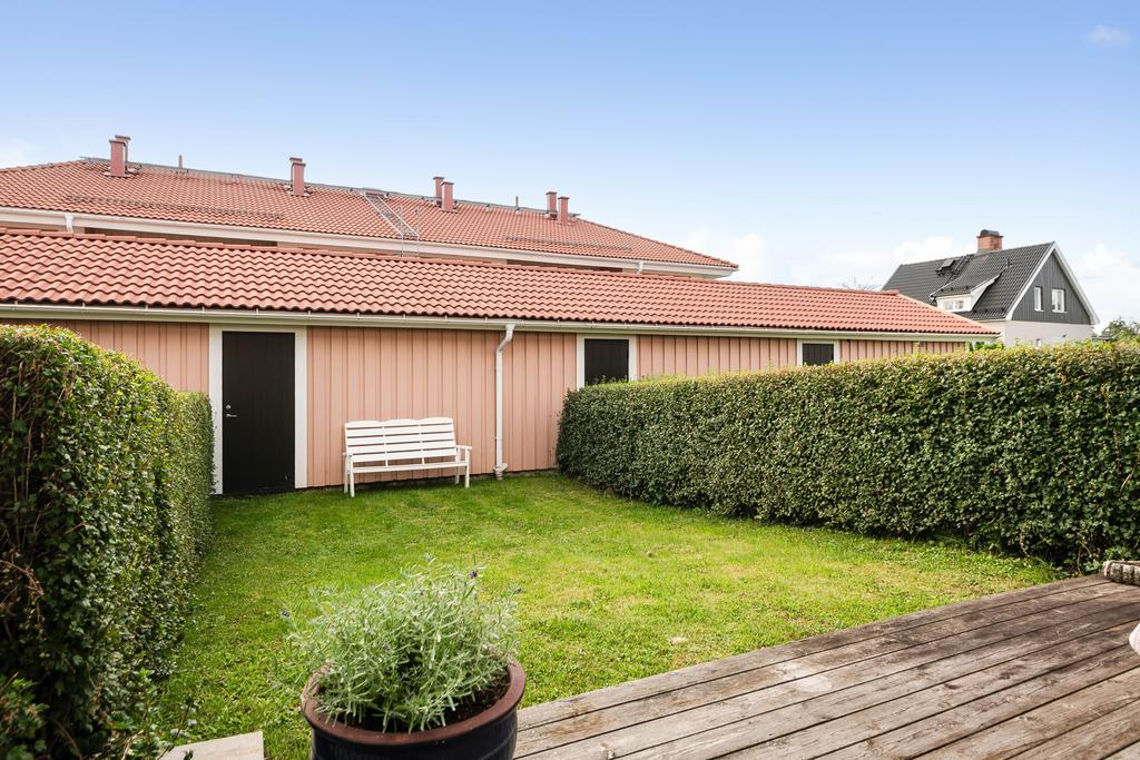 Liten trädgårdstäppa. 