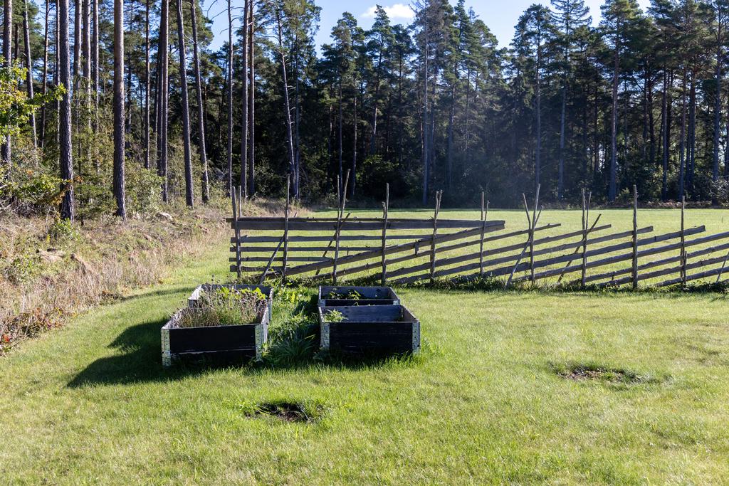 Del av trädgård