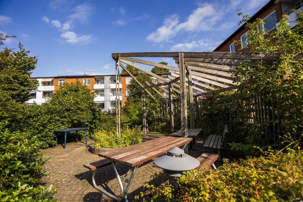 Pergola för umgänge i skuggan