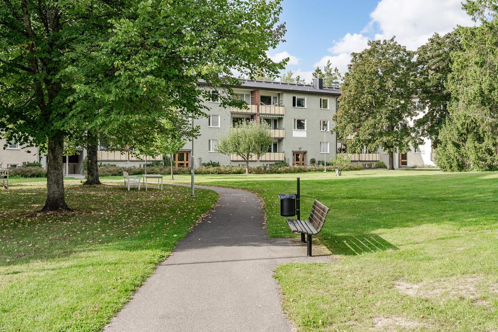 Grönskande parkmiljö