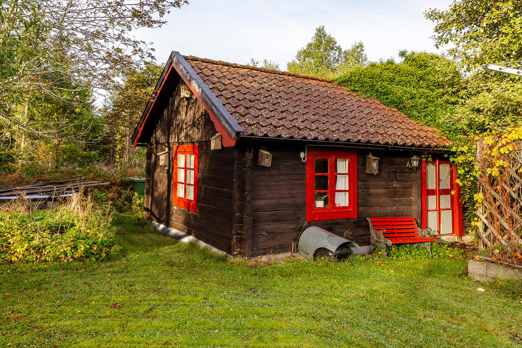 Exteriör