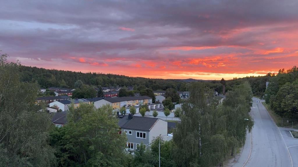 Säljarens egna bild