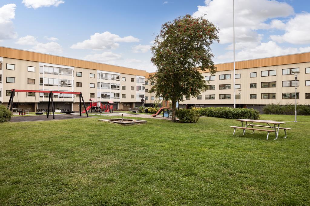 I föreningen finns fina grönytor