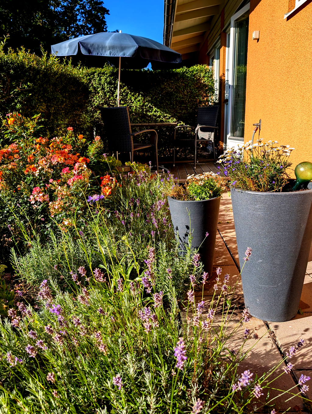 Säljarens egna bilder