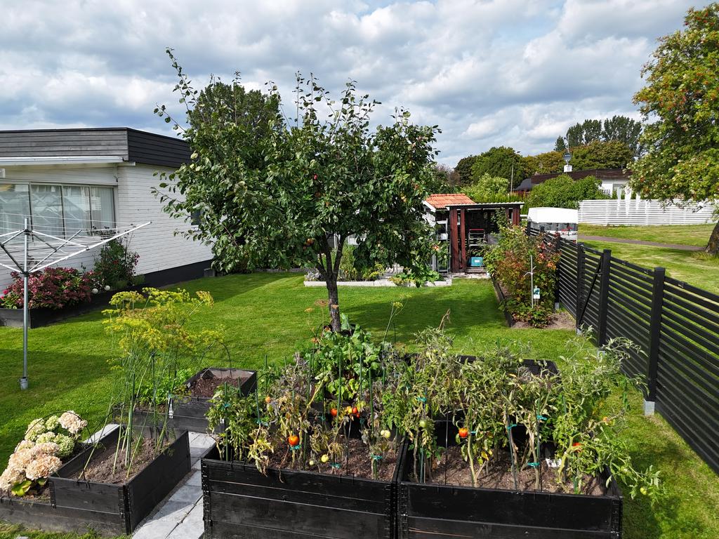 Äppelträd och odlingslådor i trädgården