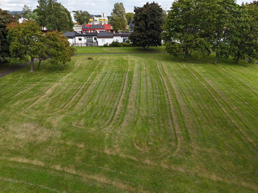 Grönområde utanför tomten