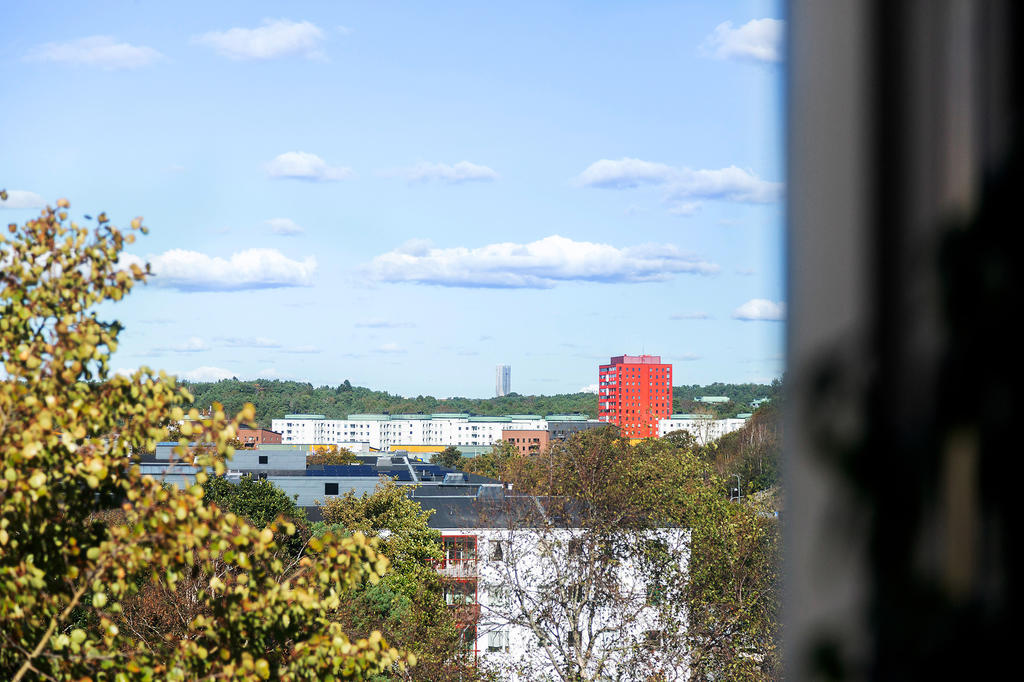 Utsikt från köksfönstret!