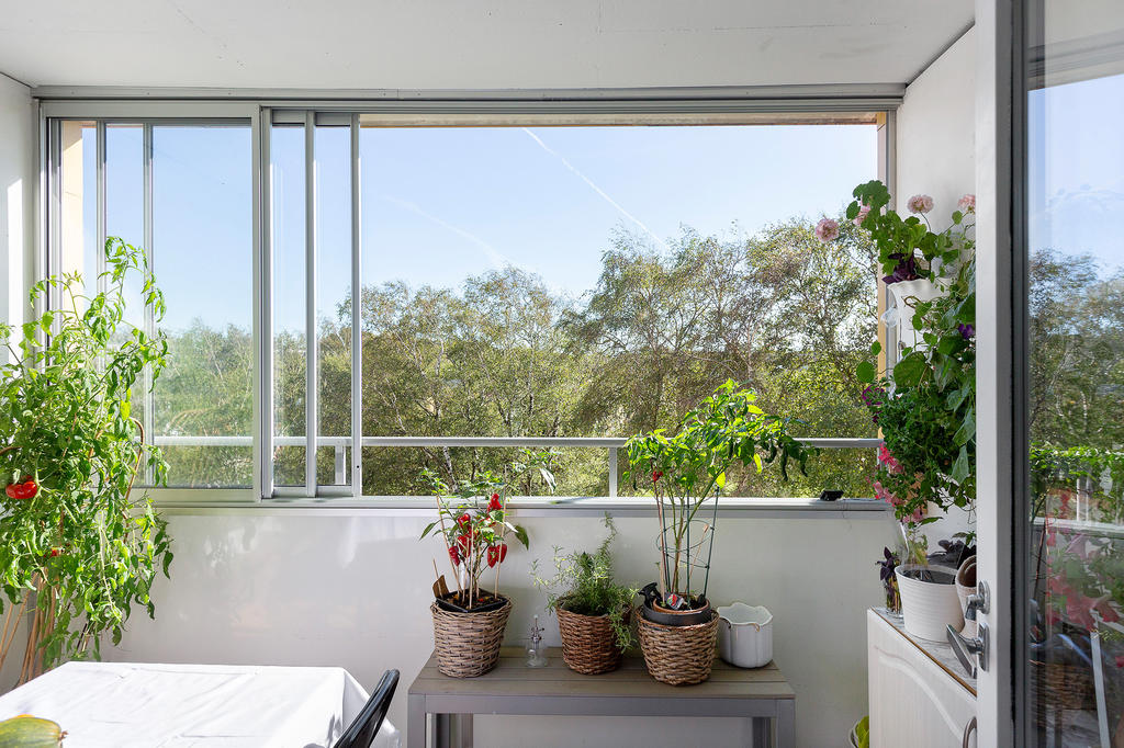 Här trivs både växter och grönsaker! 