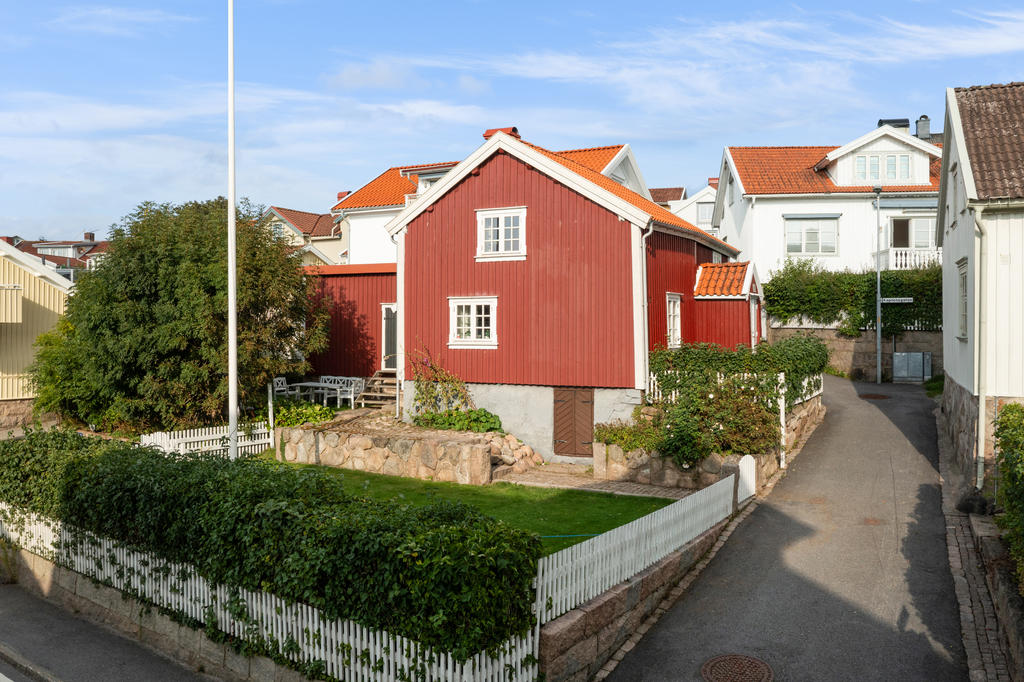 Vacker kraftig syrenhäck mot vägen.