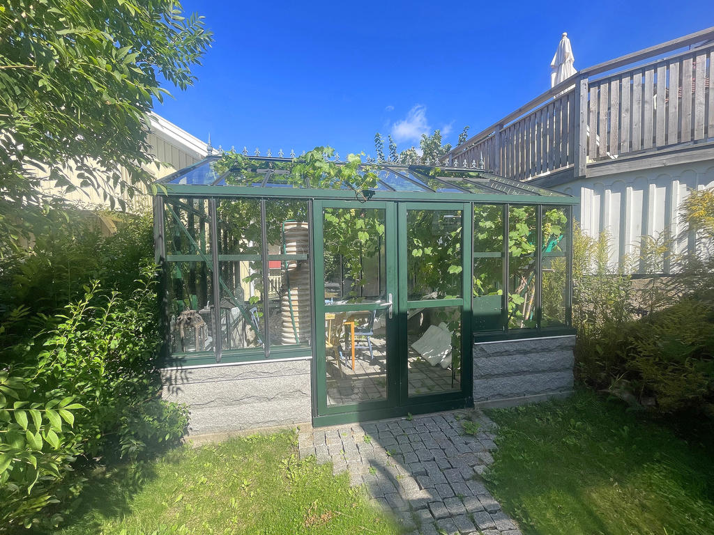 Växthus där det odlas vindruvor och tomater.