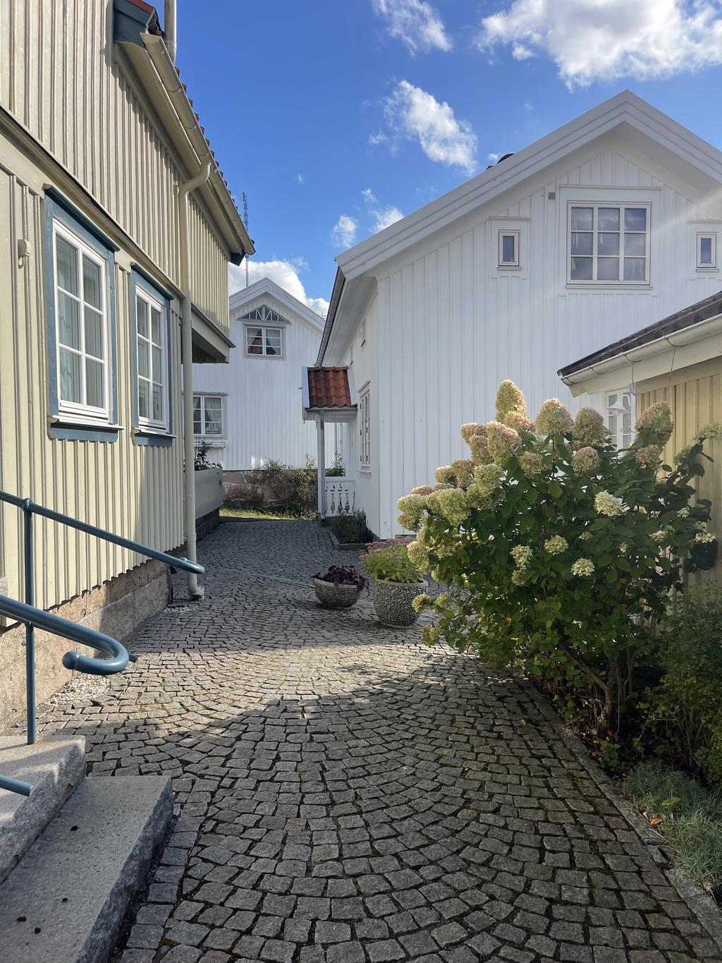 Miljöbild runt Snappegatan.