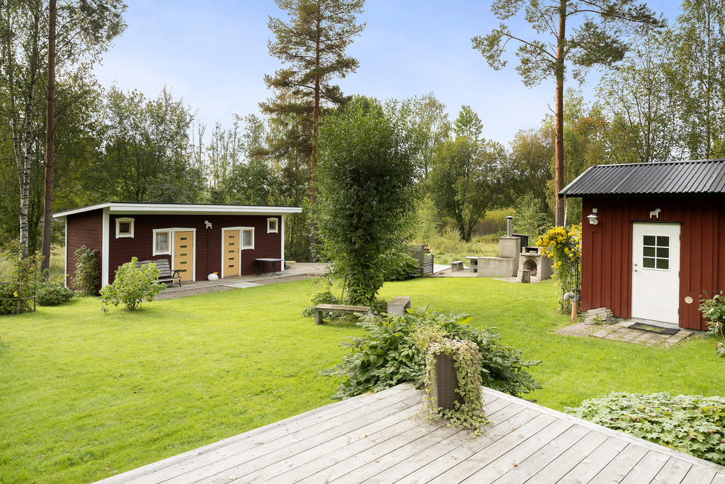 Trädgård