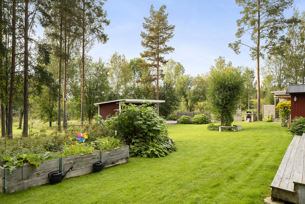 Trädgård