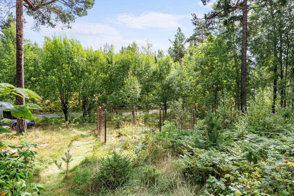 Här finns ett skyddat odlingsrum för allt från jordgubbar till kryddor,