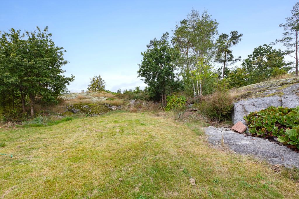 Fin trädgård