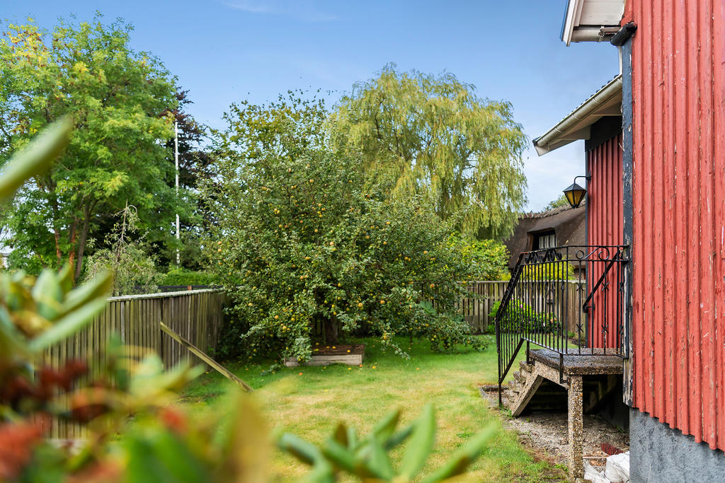 Trädgård med gräsmatta, fruktträd och liten uteplats med trallgolv. 